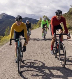 ETXEONDO Maillot Manga Larga Alde Amarillo Mostaza -Bicicletas Eléctricas etxeondo maillot manga larga alde amarillo mostaza 3