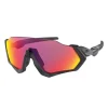 OAKLEY Flight Jacket Prizm Road Negro Mate
