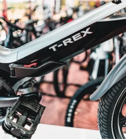 WALIO T-Rex Plegable Negro / Gris -Bicicletas Eléctricas walio t rex plegable negro gris 3